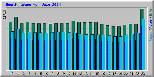 Hourly usage for July 2024