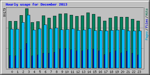 Hourly usage for December 2013