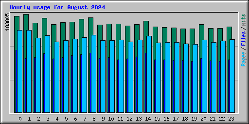 Hourly usage for August 2024