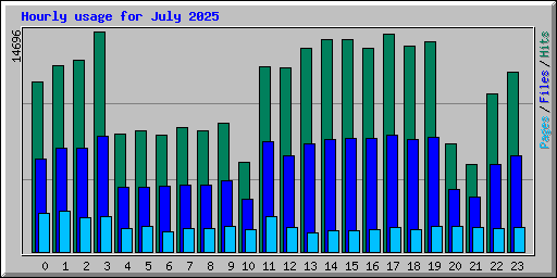 Hourly usage for July 2025