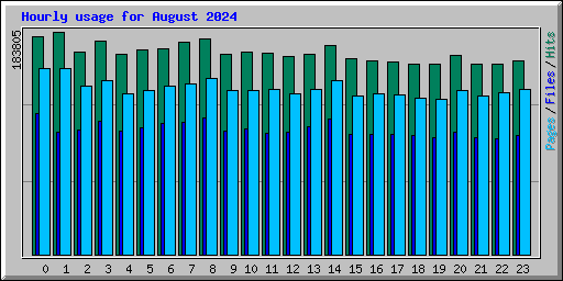 Hourly usage for August 2024