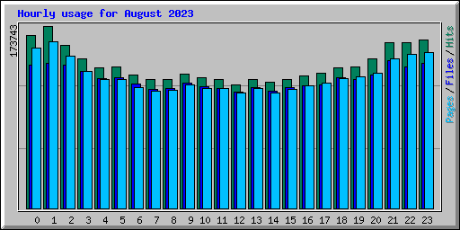 Hourly usage for August 2023