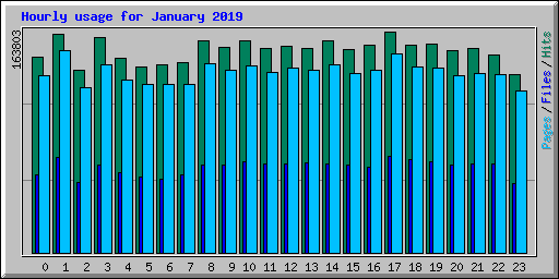 Hourly usage for January 2019